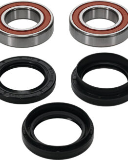 Pivot Works Premium Wheel Bearing Kit