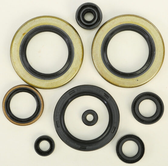 Oil Seal Kit