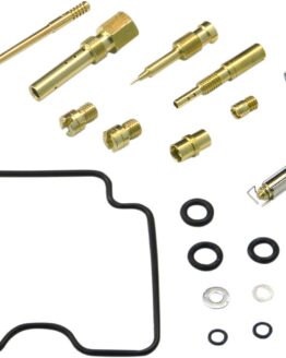 Carburetor Repair Kit
