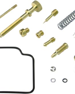 Carburetor Repair Kit