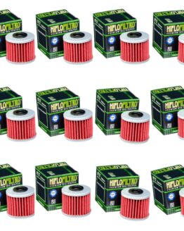 HF117 DCT Transmission Oil Filter - 12 Pack