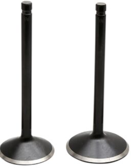 Kibblewhite Valve Kit Black Diamond for Harley Evolution 1984-1999