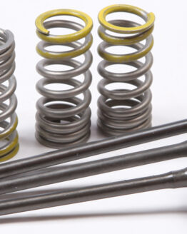 Steel Intake Valve/Spring Kit