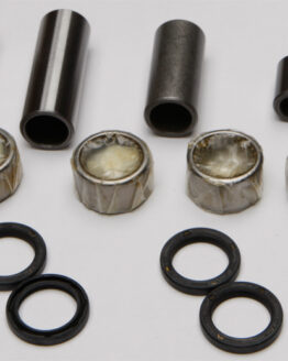 Swing Arm Linkage Bearing & Seal Kit