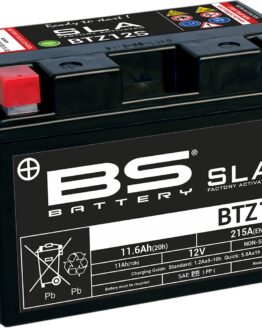 SLA Factory Activated AGM Maintenance Free Battery