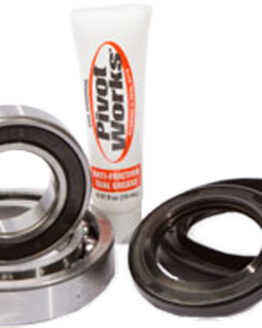 Rear Wheel Bearing Kit