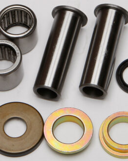 Swing Arm Bearing Kit