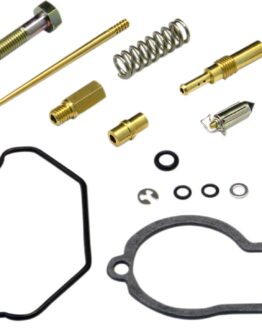 Carburetor Repair Kit