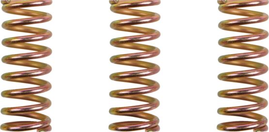 Clutch Spring Kits for Ducati