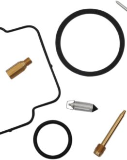Carburetor Repair Kit
