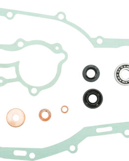 Water Pump Repair Kit