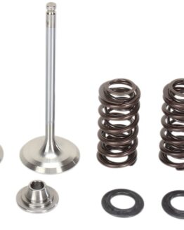 Stainless Intake Valve and Spring Kit