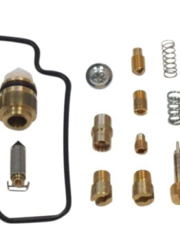 Carburetor Repair Kit