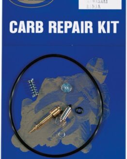 Carburetor Repair Kit