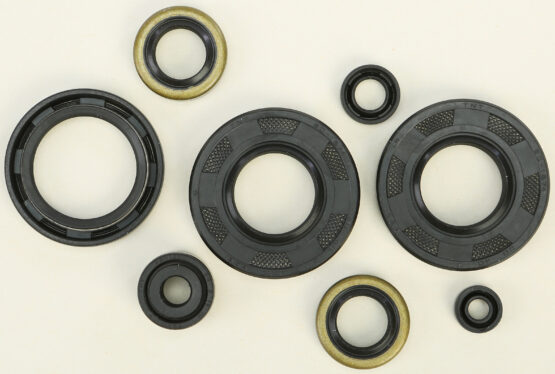 Oil Seal Kit