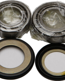 All Balls 22-1009 Steering Stem Bearing & Seal Kit