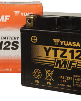 AGM Maintenance Free Battery YTZ12S