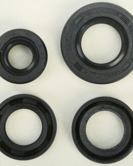 Vertex Oil Seal Kit 822162