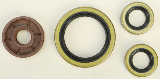 Oil Seal Kit