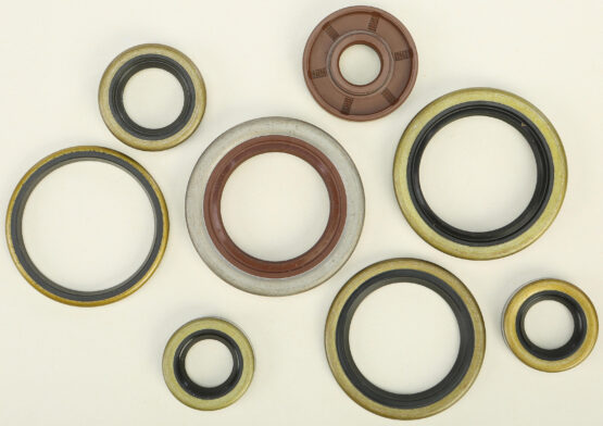 Oil Seal Kit