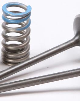 Steel Intake Valve/Spring Kit