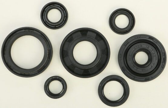 Oil Seal Kit