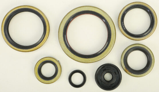 Oil Seal Kit