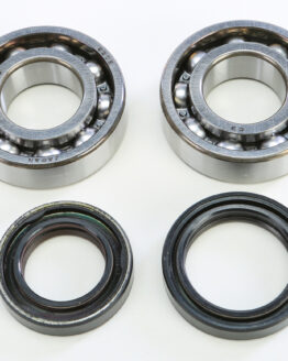 Crankshaft Bearing & Seal Kit
