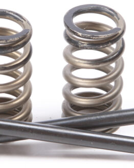 Steel Exhaust Valve/Spring Kit