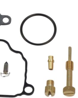 Carburetor Repair Kit