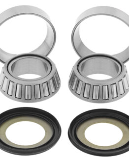 Steering Head Bearing & Seal Kit Fits 03-21 DRZ125, 02-22 RM85, 03-06 KLX125