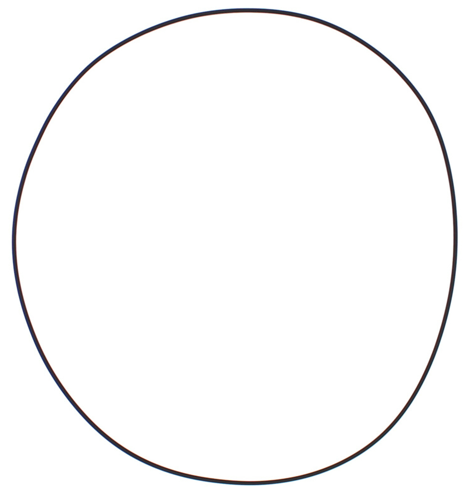 Clutch Cover O-Ring Gasket