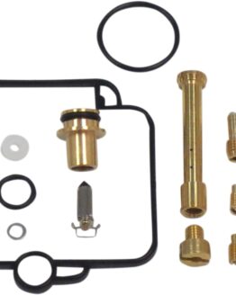 Carburetor Repair Kit