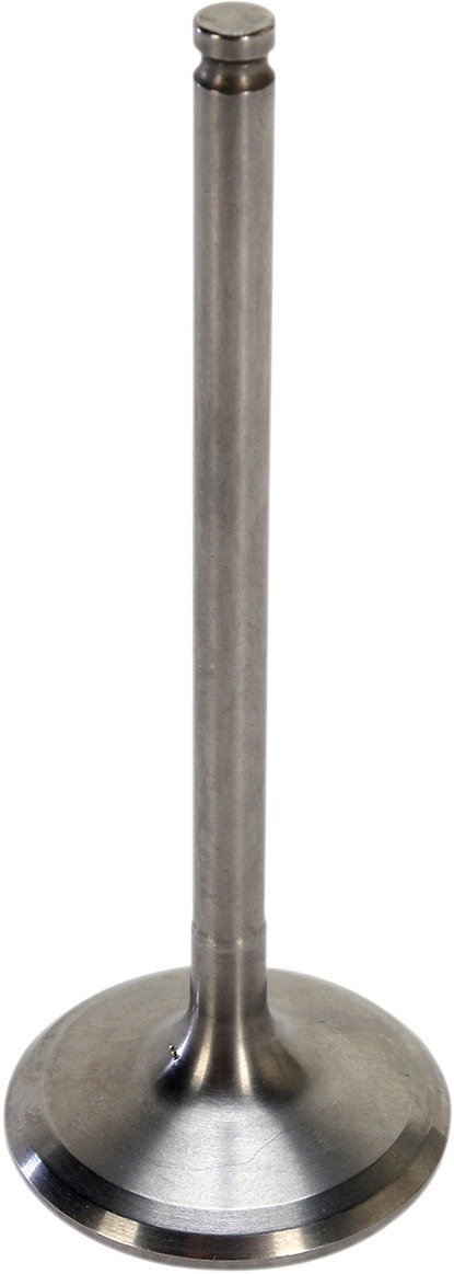 441EC3F1-A3EC-4E2A-B563-38C4968BABDA.jpg 441EC3F1-A3EC-4E2A-B563-38C4968BABDA.jpg