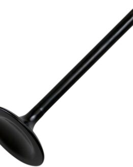 Hot Cams Steel Intake Valve