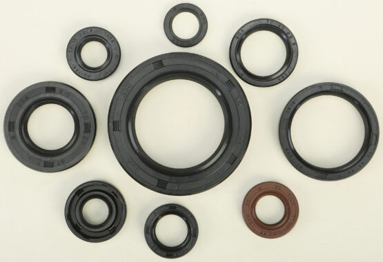 Oil Seal Kit