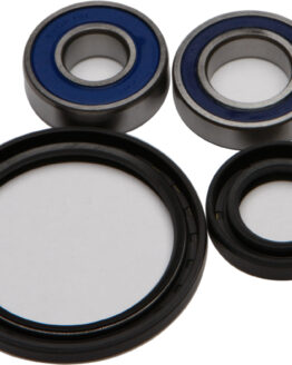 Wheel Bearing & Seal Kit