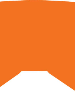 Fly Replacement Orange Mirror/Smoke Lens for Youth Zone/Focus Goggles