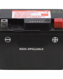 AGM Maintenance Free Battery