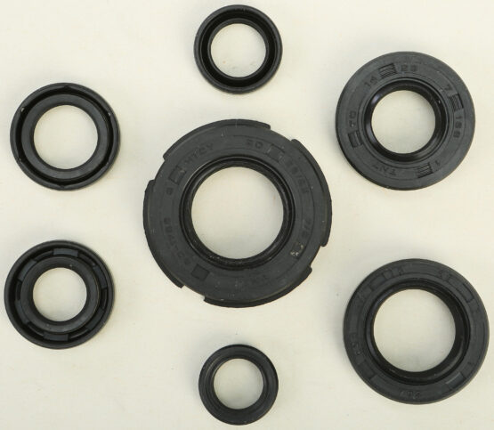 Oil Seal Kit