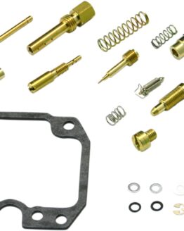 Carburetor Repair Kit