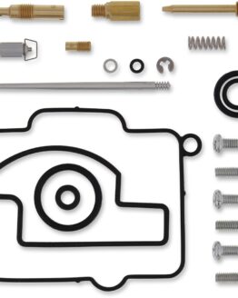 Carburetor Repair Kit