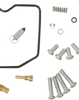 Carburetor Repair Kit