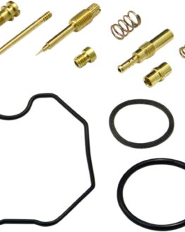 Carburetor Repair Kit