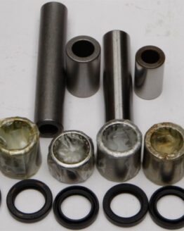 Swing Arm Linkage Bearing & Seal Kit