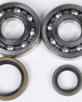 Crankshaft Bearing & Seal Kit