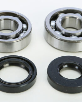 Crankshaft Bearing & Seal Kit