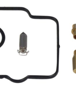 Carburetor Repair Kit