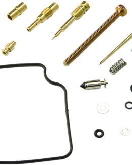 Carburetor Repair Kit
