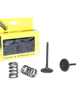 Steel Intake Valve/Spring Kit